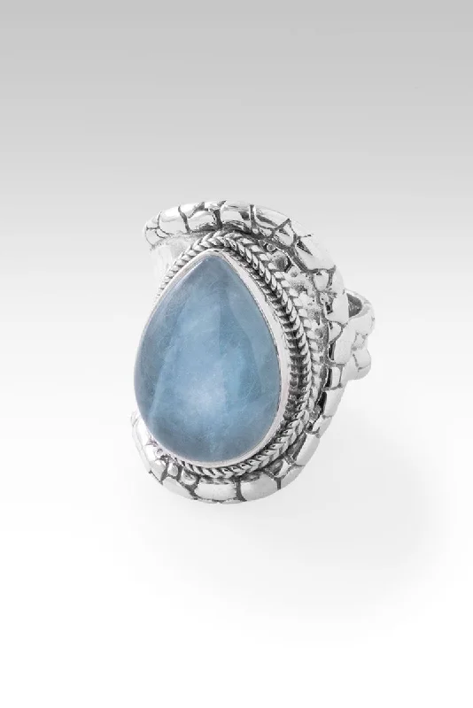 Premium Jewelry, Premium Discounts – Act Fast Blessed with Abundance Ring™ in Aquamarine Premium Jewelry, Premium Discounts – Act Fast Blessed with Abundance Ring™ in Aquamarine