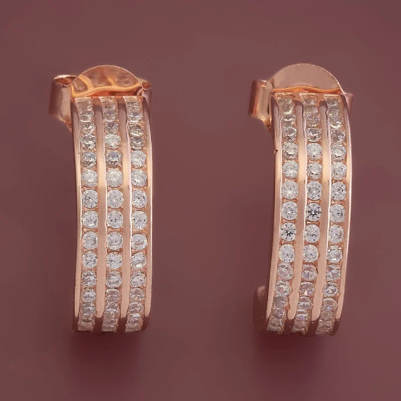 Limited-Time Offer On Elegant Jewelry Pieces 92.5 Silver Earring 176540