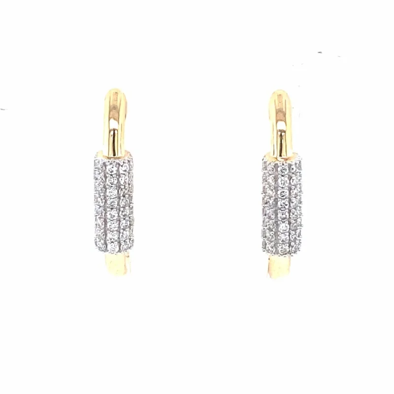 Limited-Time Jewelry Sale – Elegant Styles At Less Diamond Bar Accented Elongated Hoop Earrings