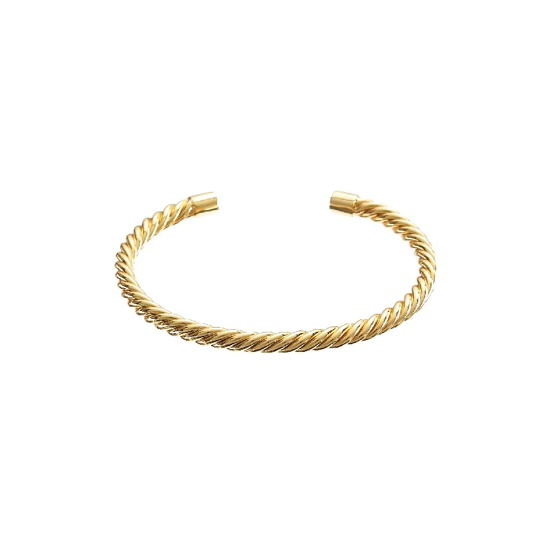 Jewelry Deals That Sparkle – Shop Today Twisted Aspen Bangle